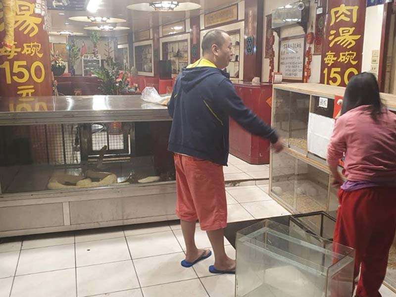 可愛小動物搬新家