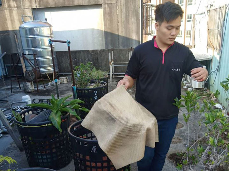 頂樓最多盆栽了！